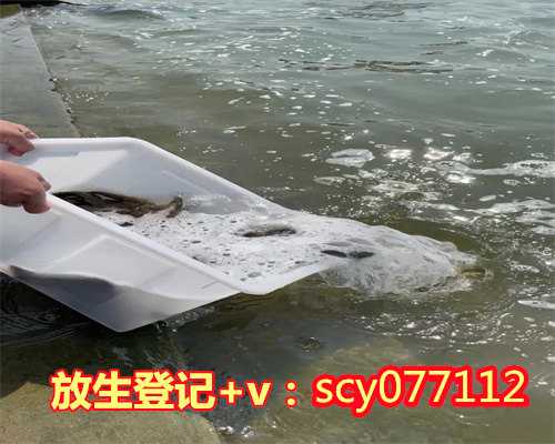 广西冬天放生螺狮能成活吗（广西放生鲤鱼放公的好还是母的好）