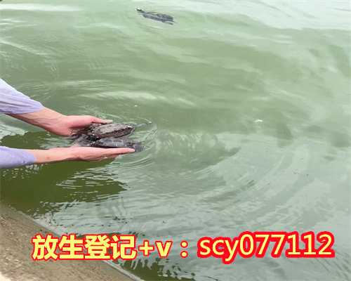 武汉松江放生池,武汉市区哪里可以放生蝌