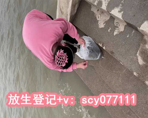 湖北放生消业障最快最好,湖北鸭子怎么放生比较好,求子放生放什么好