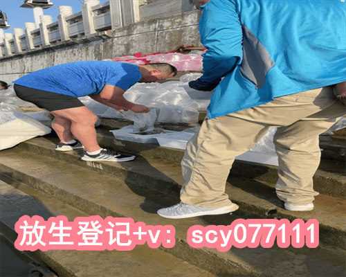 中华龟可以放生吗?